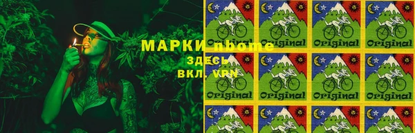 a pvp Магас