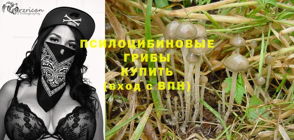 a pvp Магас